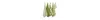 Design Imports Assorted Pattern, Kitchen Collection, Dishtowels Dishcloth, Parsley Green, 5 Piece In Parsley