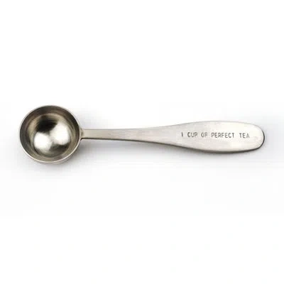 Design Imports Perfect Tea Infusers In Stainless Steel