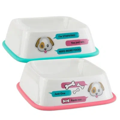 Design Imports Pet Bowl In Multi