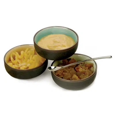 Design Imports Salt/condiment Spoon In Multi