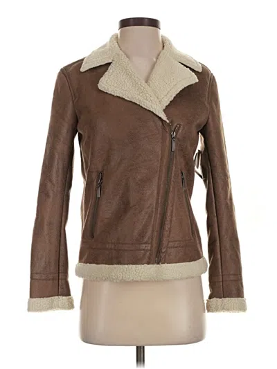 Pre-owned Design Lab Lord & Taylor Jacket In Brown