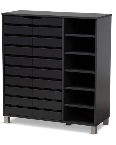 Design Studios Shirley Modern And Contemporary 2-door Shoe Storage Cabinet