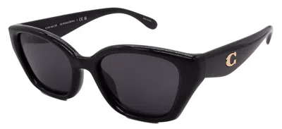 Designer Coach Hc8434u-500287-53-19-140 Non-polarized In Pink