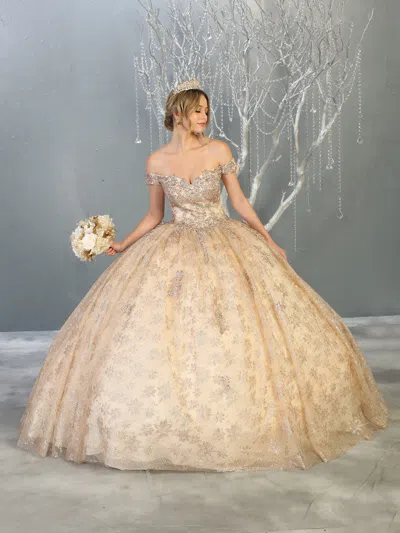 Pre-owned Designer Princess Quinceanera Ball Gown And Plus Size In Champagne/gold