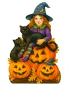 Designocracy Halloween Witch Outdoor Garden Decor In Multi