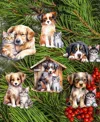 Designocracy Holiday Wooden Clip-on Ornaments Dogs Set Of 6 G. Debrekht In Multi Color