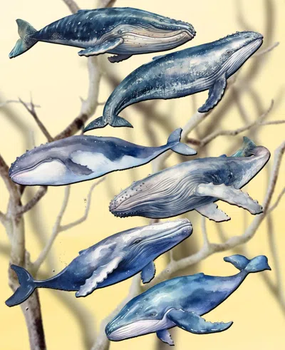 Designocracy Holiday Wooden Clip-on Ornaments Humpback Whales Set Of 6 G. Debrekht In Multi Color
