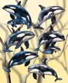 Designocracy Holiday Wooden Clip-on Ornaments Majestic Orcas Set Of 6 G. Debrekht In Multi Color