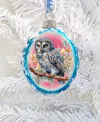 Designocracy Owl Keepsake Mercury Christmas Glass Ornaments G. Debrekht In Multi Color