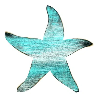 Designocracy Starfish Magnet