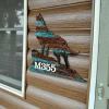 Designocracy Wolf Wall Mount