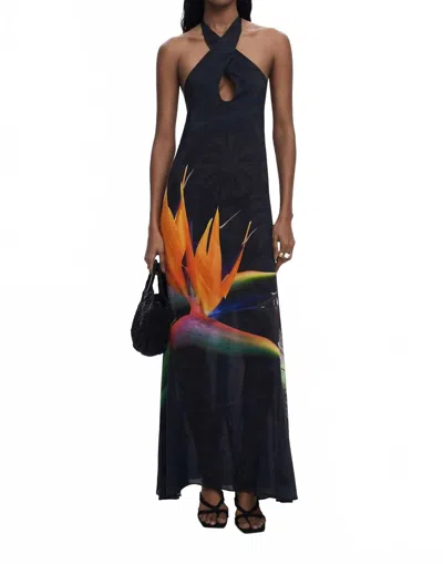 DESIGUAL COLIBRI DRESS IN BLACK HUMMINGBIRD PRINT
