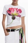 Desigual Fitted Floral Crop T-shirt In White