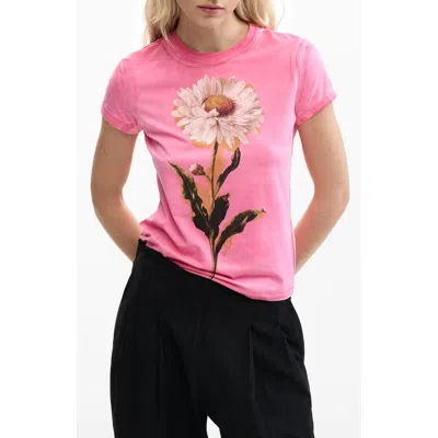 Desigual Floral Cotton Graphic T-shirt In Pink