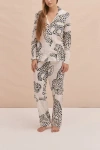 Desmond & Dempsey Long Pajama Set In Animal Print