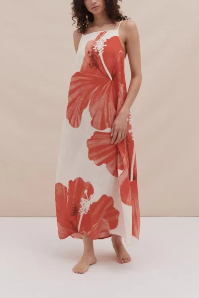 Desmond & Dempsey Square Nightie In Multi