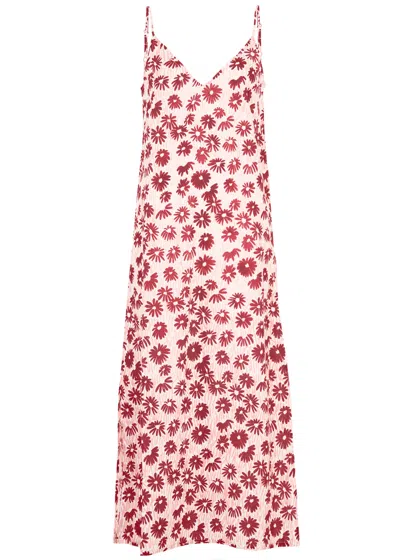 Desmond & Dempsey Chamomile Floral-print Cotton Night Dress In Pink