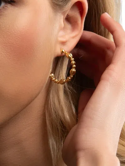 Desmos Crystal Beaded Hoop Earrings In Gold