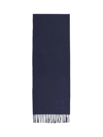 Destin Fringed Scarf In Blue