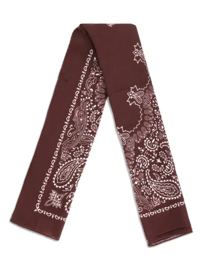 Destin Judy Paisley Bandana Scarf In Brown