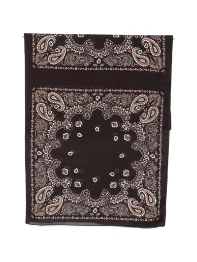 Destin Paisley Scarf In Brown