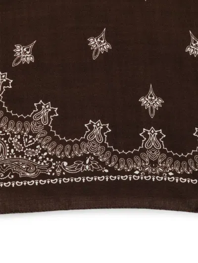 Destin Paisley-print Scarf In Brown