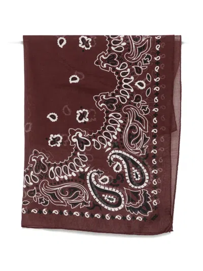 Destin Paisley-printed Scarf In Burgundy