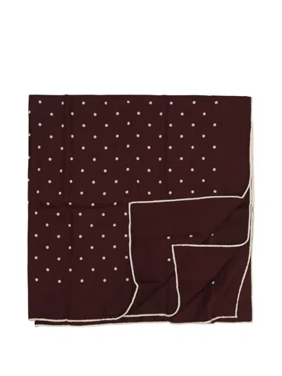 Destin Polka-dot Wool Scarf In Brown