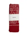 Destin Bandana Scarf In Red