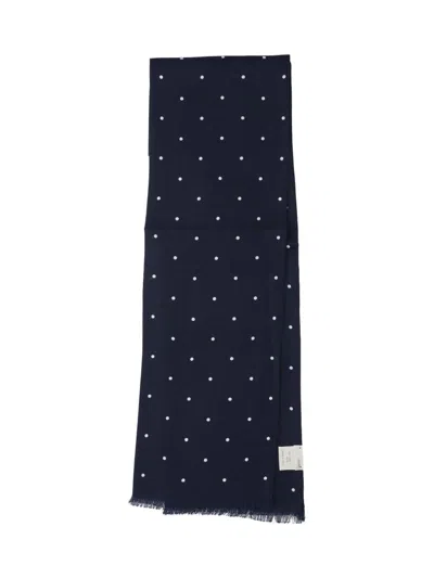 Destin Polka Dot Scarf In Blue