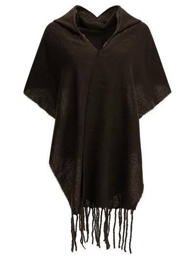 Destin Scarves & Silk Scarves In Brown