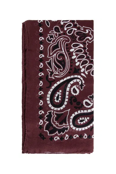 Destin Unisex  Scarves