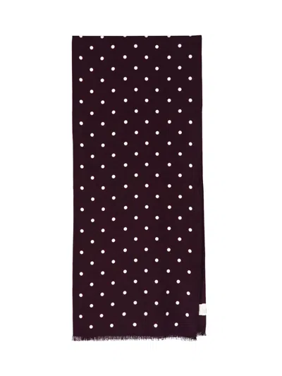 Destin Wool Scarf In Brown