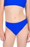 Destira Blue Raspberry Bikini Bottom In Blue