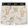 Deux Par Deux Boy's Printed Organic Cotton Boxer Shorts Dinosaur On Mottled And Tan Background In Dinosaur On Mottled And Tan