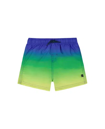 Deux Par Deux Boys' Swim Trunks - Baby In Blue/green/and Lime Gradient