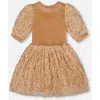 Deux Par Deux Kids'  Puff Sleeve Bi-material Velour And Lace Dress In Brown