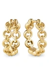 Devata Cable Link Hoop Earrings In Gold