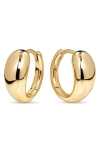 Devata Teardrop Hoop Earrings In Gold