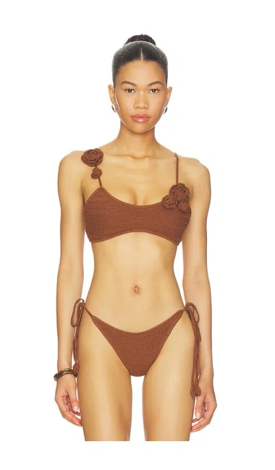 Devon Windsor Adrienne Top In Brown