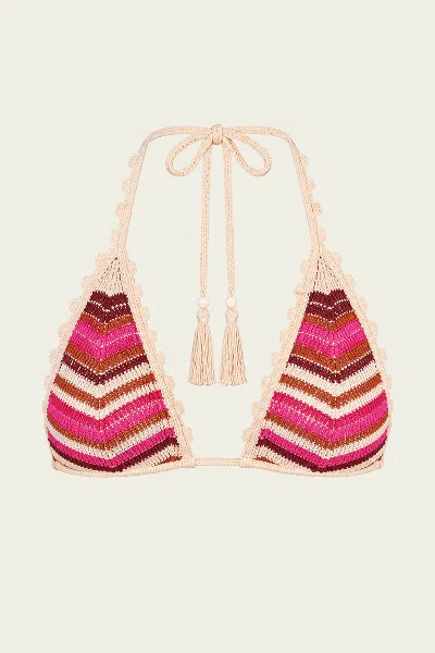Devon Windsor Aida Bikini Top In Berry