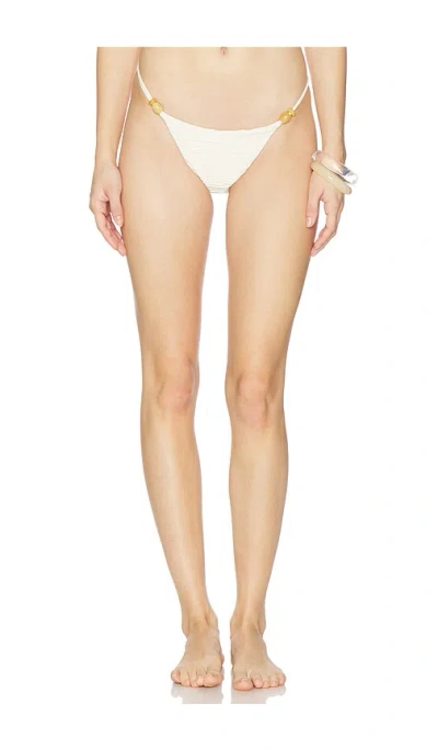 Devon Windsor Alina Bikini Bottom In Gray