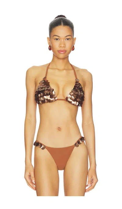 Devon Windsor Cali Top In Brown