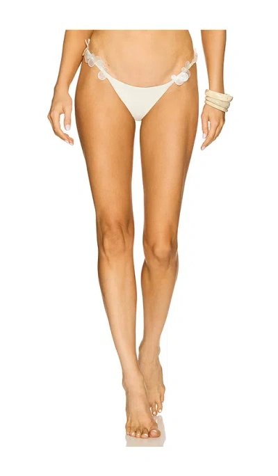 Devon Windsor Cici Bottom In Ivory Shell