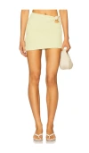 Devon Windsor Eve Skirt In White