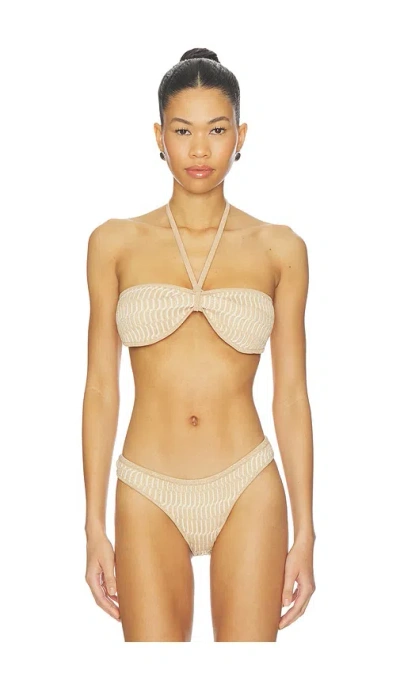 Devon Windsor Finn Bikini Top In Brown