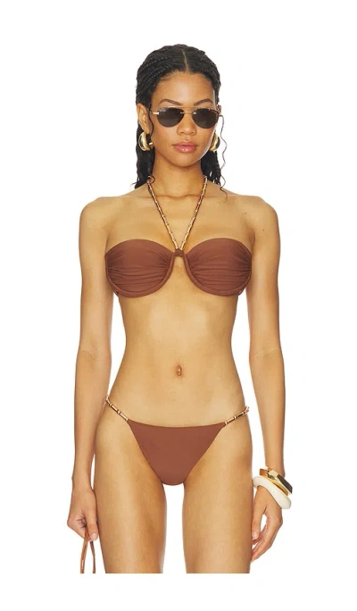 Devon Windsor Giana Bikini Top In Brown