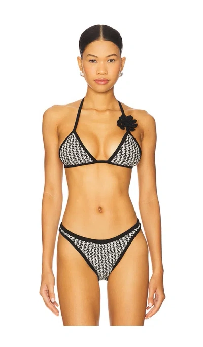 Devon Windsor Nash Bikini Top