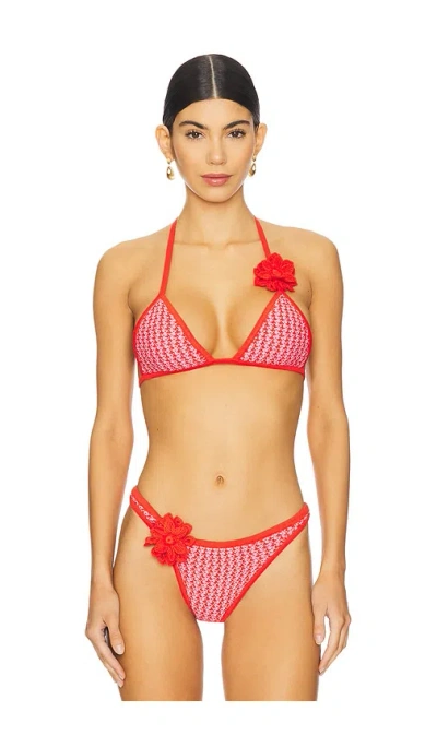 Devon Windsor Nash Bikini Top In Valentine