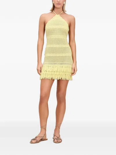 Devon Windsor Rae Fringe-trim Crochet Mini Dress In Yellow